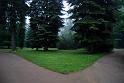 2009-06-27, Nebel (9)